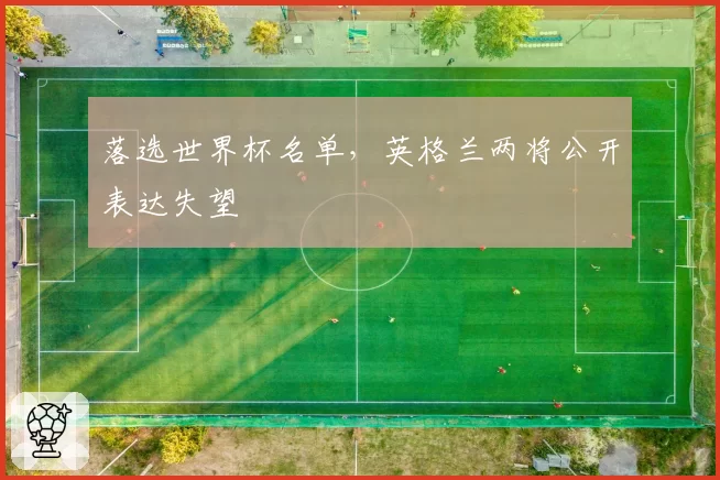落选世界杯名单，英格兰两将公开表达失望